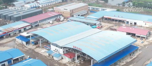 河北涿州最大農(nóng)產(chǎn)品批發(fā)市場恢復(fù)營業(yè)，災(zāi)后生產(chǎn)生活逐步回暖